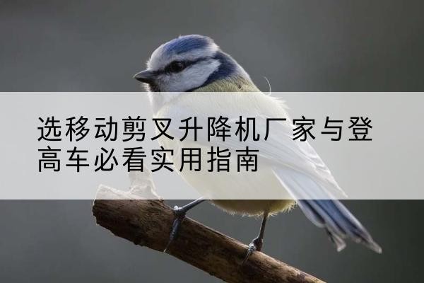 昌都电动升降机厂家-选移动剪叉升降机厂家与登高车必看实用指南