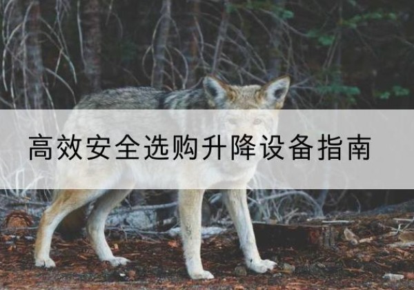 昌都升降货梯厂家推荐-*安全选购升降设备指南